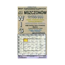 Mszczonów - mapa WIG skala 1:100 000