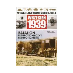 Batalion elektrotechniczny Elektrotechnika