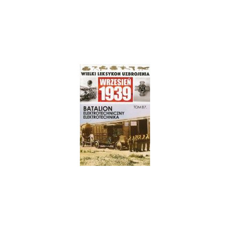 Batalion elektrotechniczny Elektrotechnika
