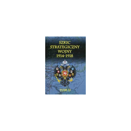 Szkic strategiczny wojny 1914-1918 Tom 2