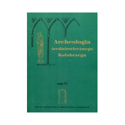 Archeologia średniowiecznego Kołobrzegu. Tom VI