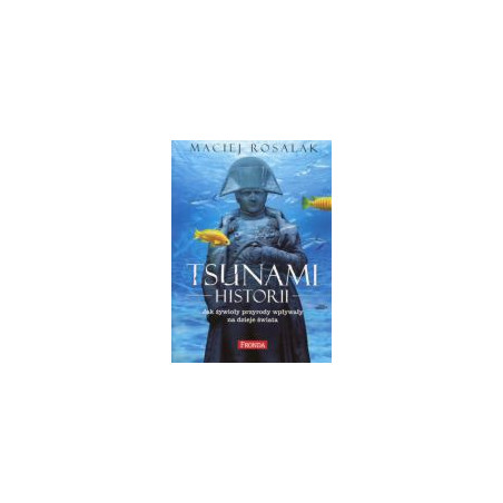 Tsunami historii