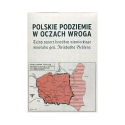 Polskie podziemie w oczach wroga