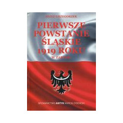 Pierwsze Powstanie Śląskie 1919 roku w zarysie