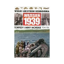 Torpedy i miny morskie