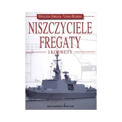 Niszczyciele, fregaty i korwety