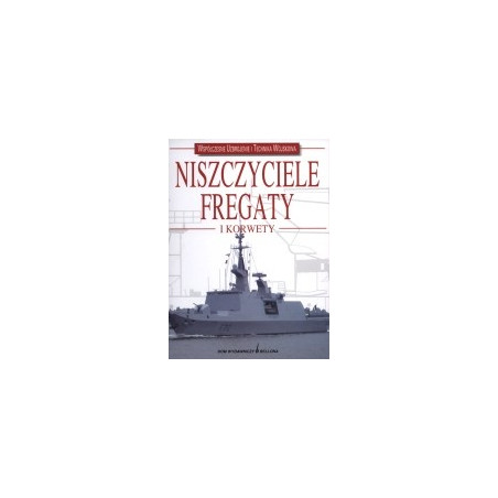 Niszczyciele, fregaty i korwety
