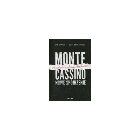 Monte Cassino nowe spojrzenie