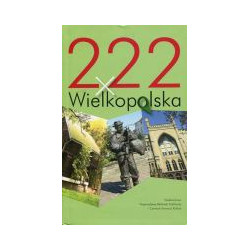 222 × Wielkopolska