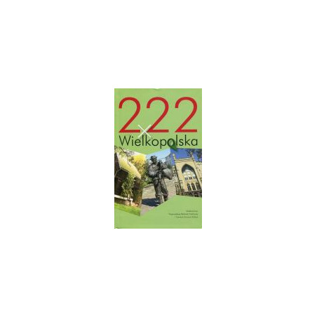 222 × Wielkopolska