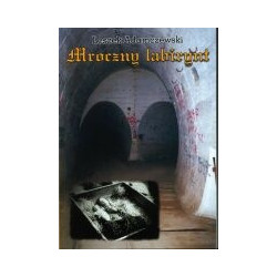 Mroczny labirynt