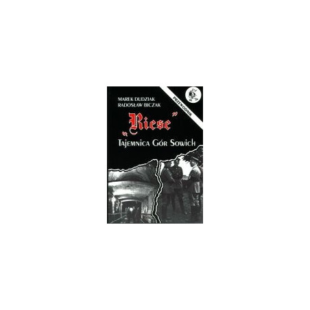 Riese - tajemnica Gór Sowich