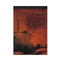 Plamy na banderze