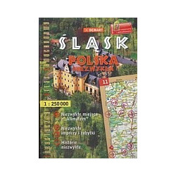 Śląsk. Polska niezwykła. Turystyczny atlas samochodowy
