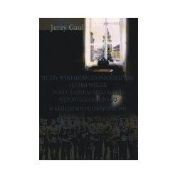 Służby wywiadowczo-informacyjne Austro-Węgier wobec radykalnego ruchu niepodległościowego w Królestwie Polskim 1914-1918