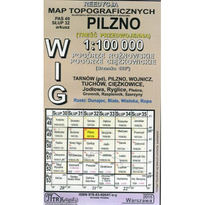 Pilzno - mapa WIG skala 1:100 000