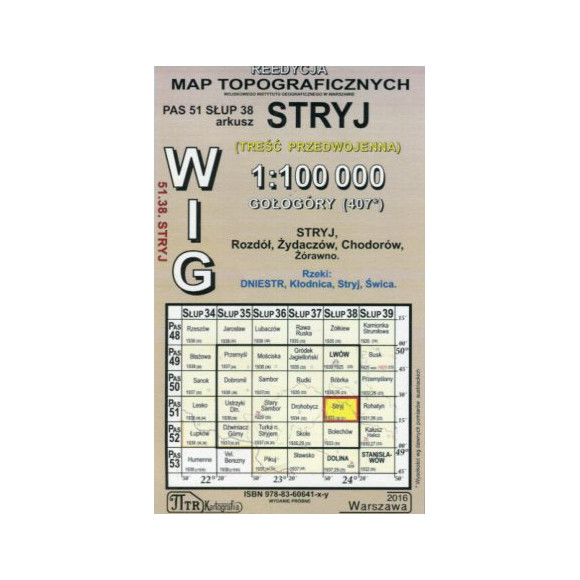 Stryj - mapa WIG skala 1:100 000