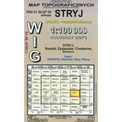 Stryj - mapa WIG skala 1:100 000