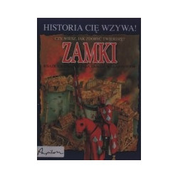Zamki