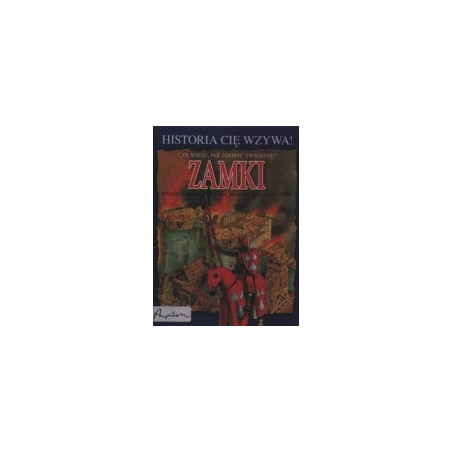 Zamki