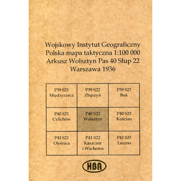Arkusz Wolsztyn Pas 40 Słup 22 Polska mapa taktyczna 1:100000