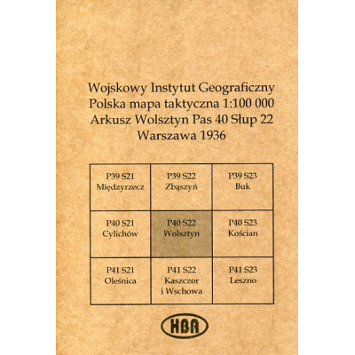 Arkusz Wolsztyn Pas 40 Słup 22 Polska mapa taktyczna 1:100000