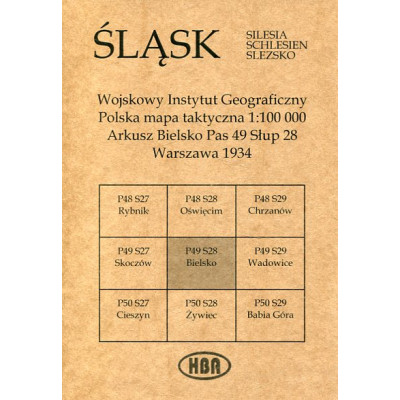 Arkusz Bielsko Pas 49 Słup 28 Polska mapa taktyczna 1:100000 ŚLĄSK