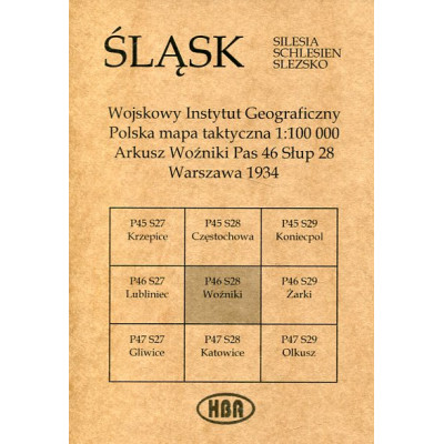 Arkusz Woźniki Pas 46 Słup 28 Polska mapa taktyczna 1:100000 ŚLĄSK