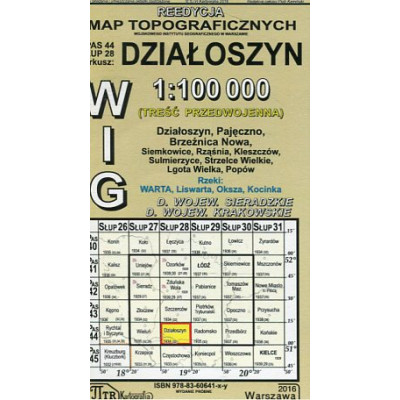Działoszyn - mapa WIG skala 1:100 000