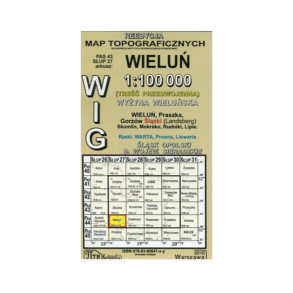 Wieluń - mapa WIG skala 1:100 000