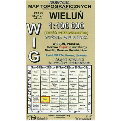 Wieluń - mapa WIG skala 1:100 000