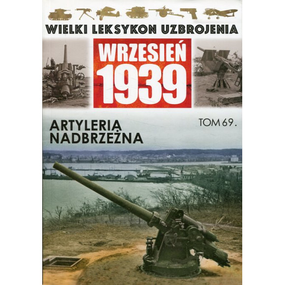 Artyleria nadbrzeżna