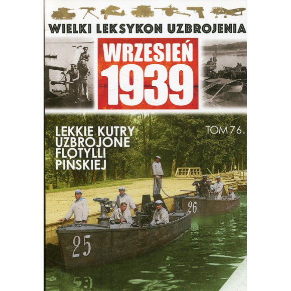 Lekkie kutry uzbrojone i kutry meldunkowe Flotylli Pińskiej