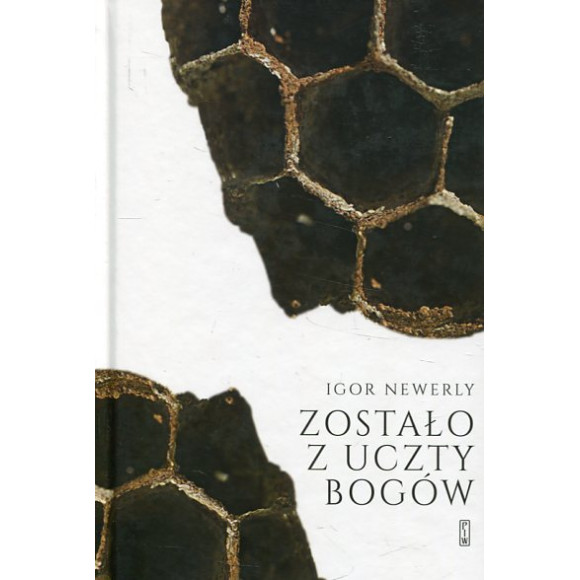 Zostało z uczty bogów