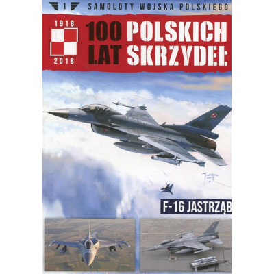 Samoloty Wojska Polskiego 100 lat polskich skrzydeł. F-16 Jastrząb