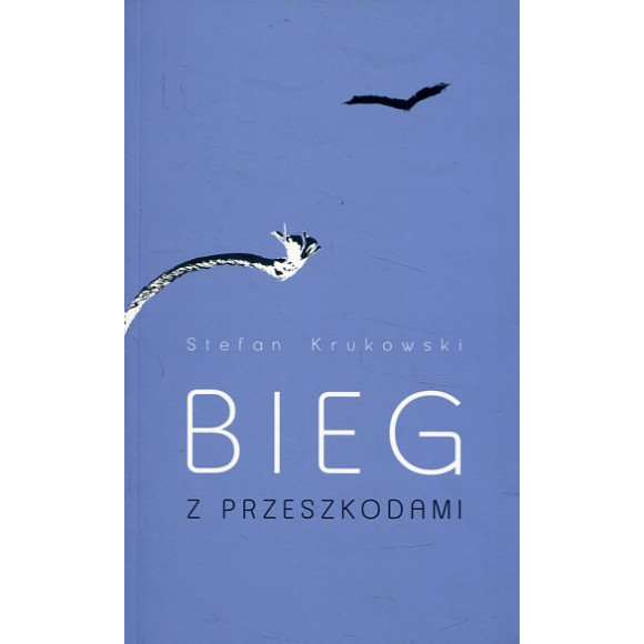 Bieg z przeszkodami