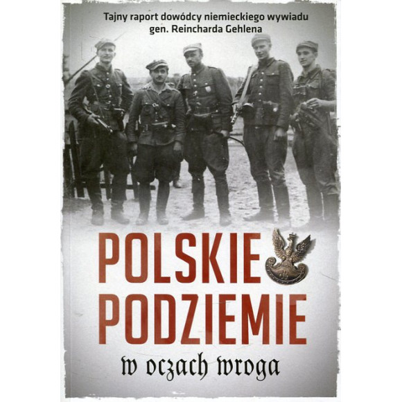 Polskie podziemie w oczach wroga