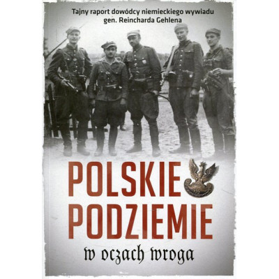 Polskie podziemie w oczach wroga