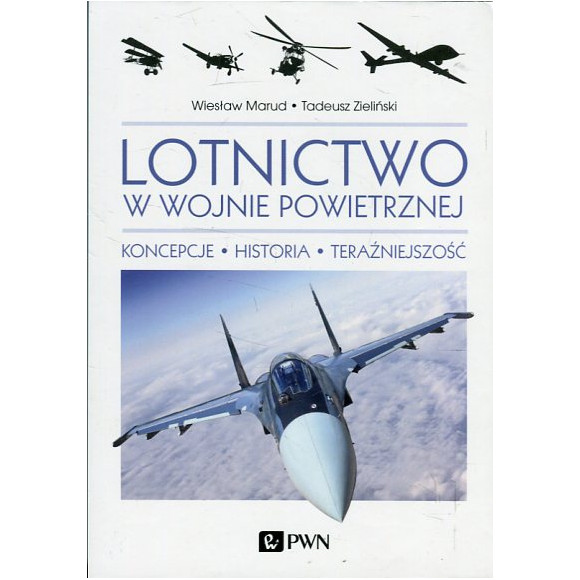 Lotnictwo w wojnie powietrznej
