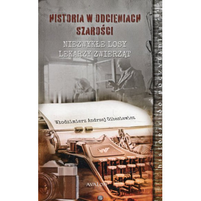 Historia w odcieniach szarości