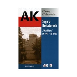 Saga o Bohaterach.
