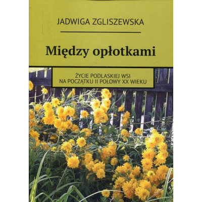 Między opłotkami