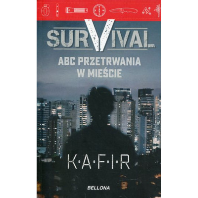 Survival ABC przetrwania w mieście