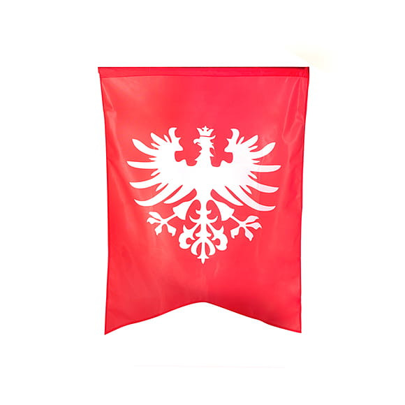 Flaga powstania wielkopolskiego