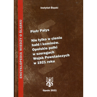 Nie tylko w cieniu hałd i kominów. Opolskie pułki w szeregach Wojsk Powstańczych w 1921 roku