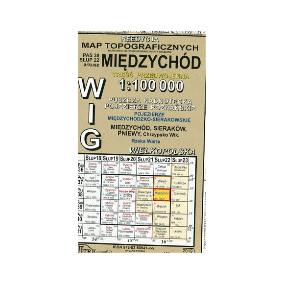 Międzychód - mapa WIG w skali 1:100 000