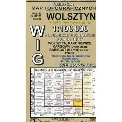 Wolsztyn - mapa WIG w skali 1:100 000