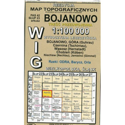Bojanowo - mapa WIG w skali 1:100 000
