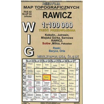 Rawicz - mapa WIG w skali 1:100 000