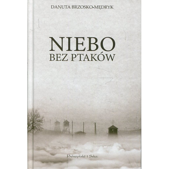 Niebo bez ptaków